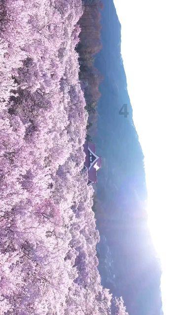 荒野行动
