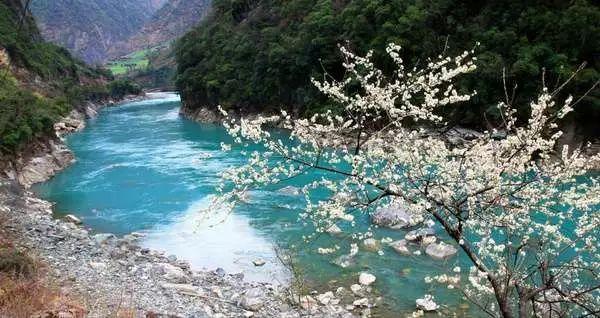 脑洞小老弟无实名认证