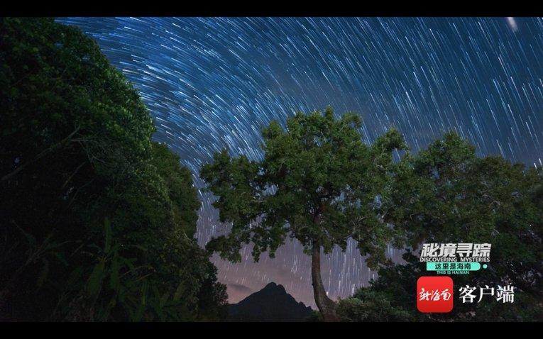 妙鸭相机app下载官网