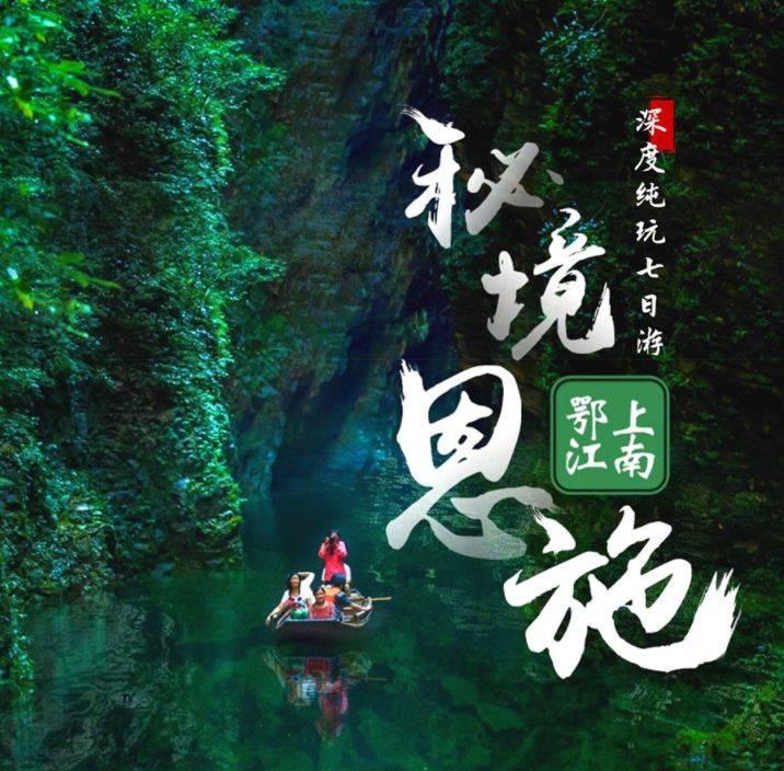 眼镜蛇秘密行动