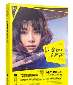 生化危机：浣熊市行动