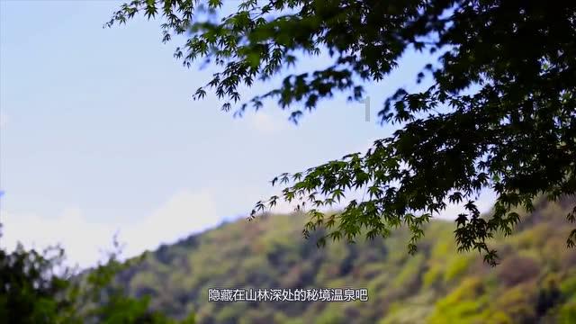 小乌龟逃亡记