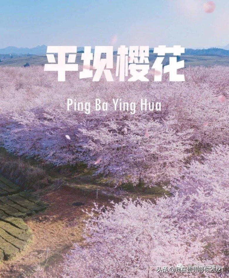 凝心聚力越难事 医路偕行图至远