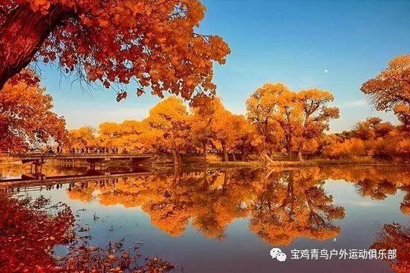 拯救机智男孩