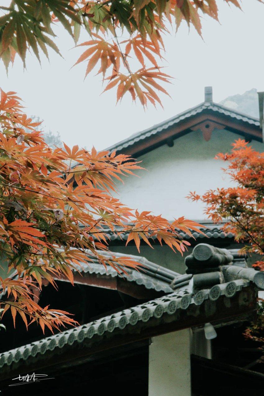 高级定制