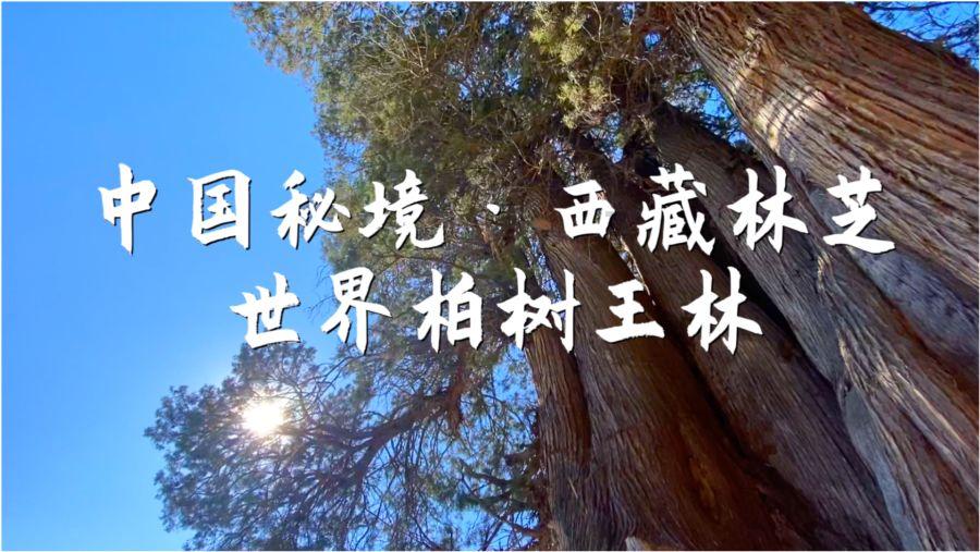 江西新余临街店铺火灾现场救援结束，已无被困人员
