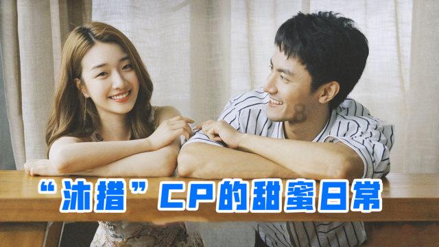 越过篱笆