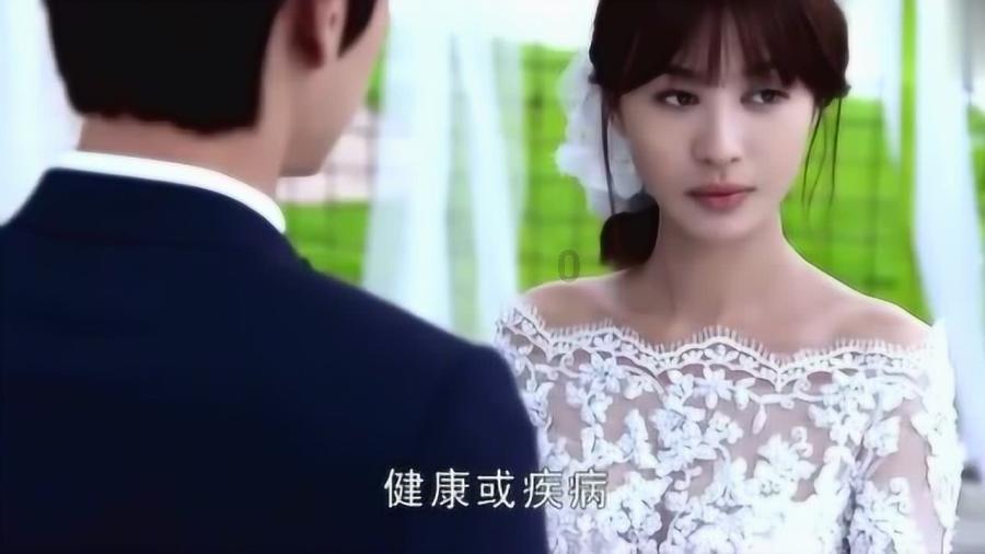 小猫钓鱼正版下载中文版