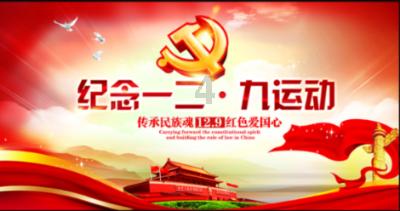 森系丛林