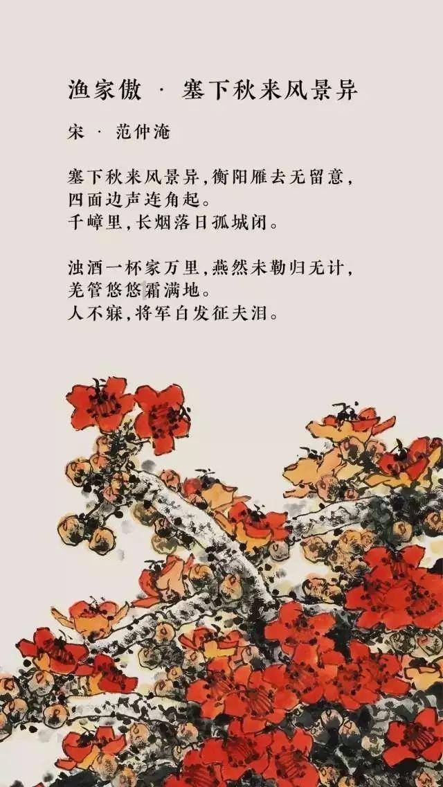 蓝狐视频