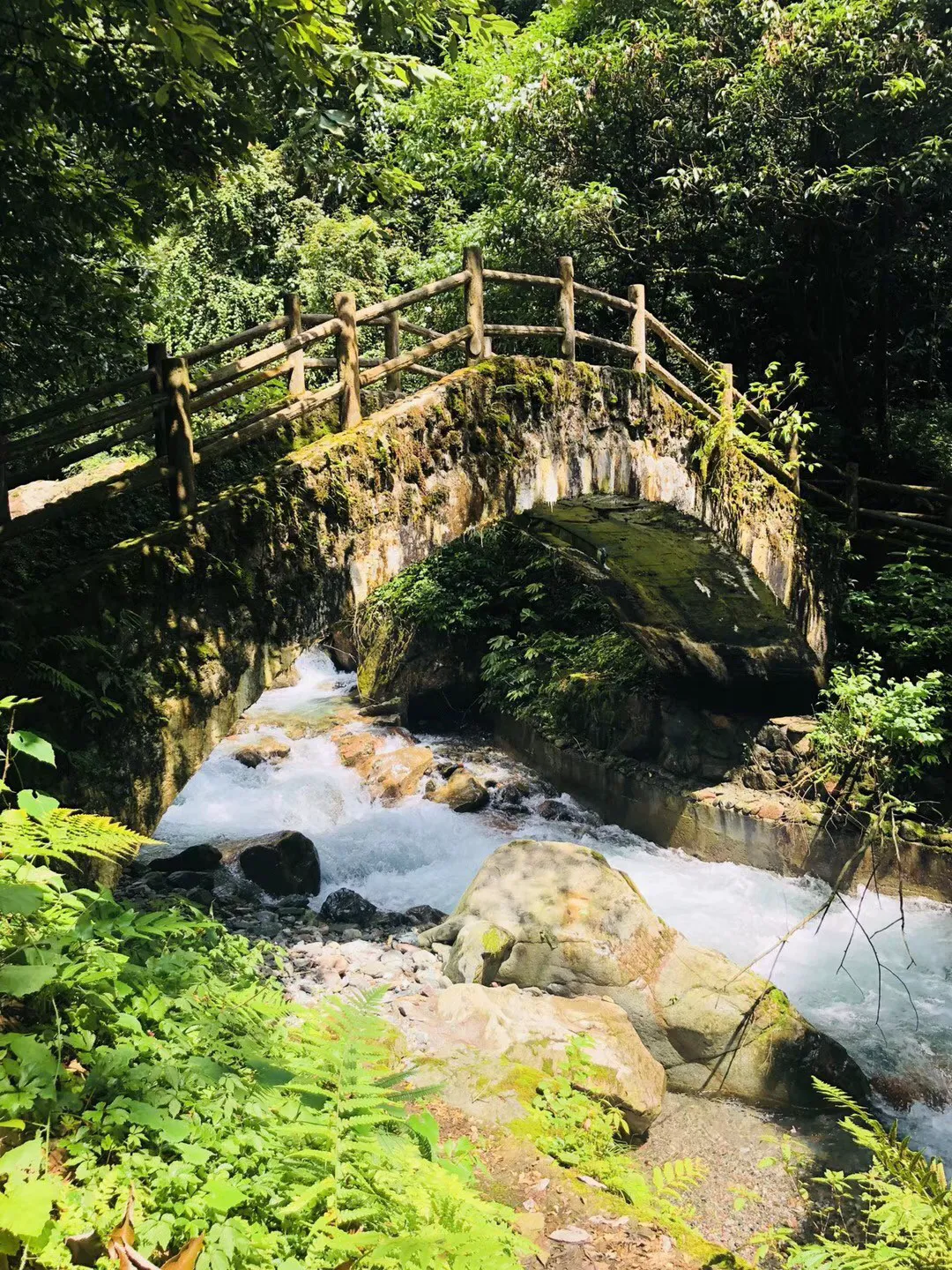 燃烧吧大脑装瓶子游戏