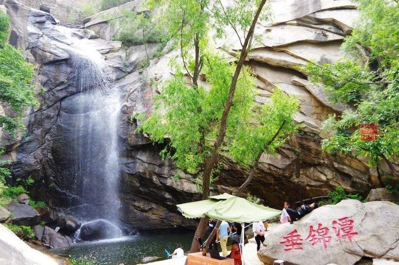 金嗓子盘中异动 急速跳水5.29%