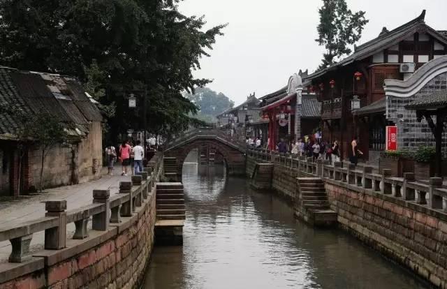 要过年了,北京海淀用塑料花装点城市树木,真的好吗?