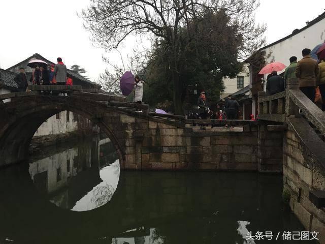 桂平召开木薯机收现场观摩会