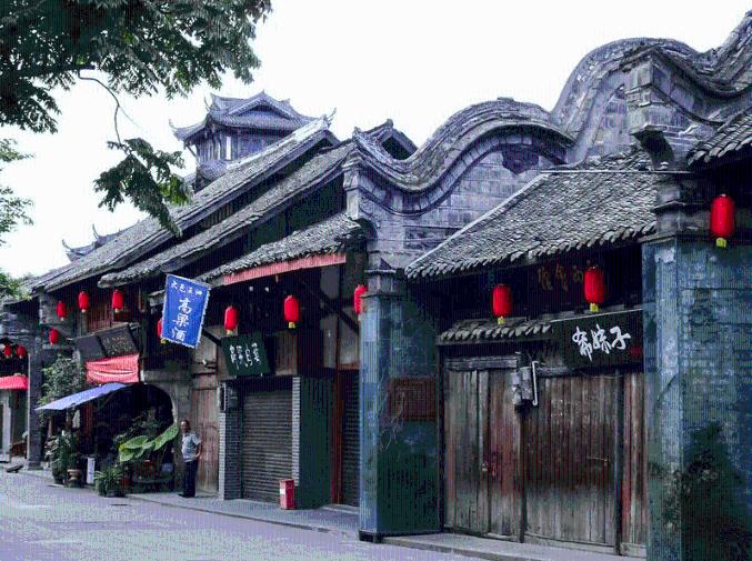 杀出重围人类分裂