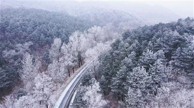 救援小老鼠